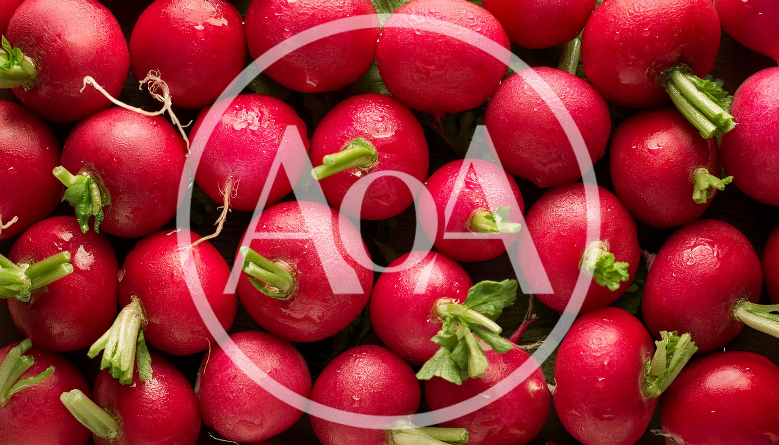 Fresh Red Radishes Background