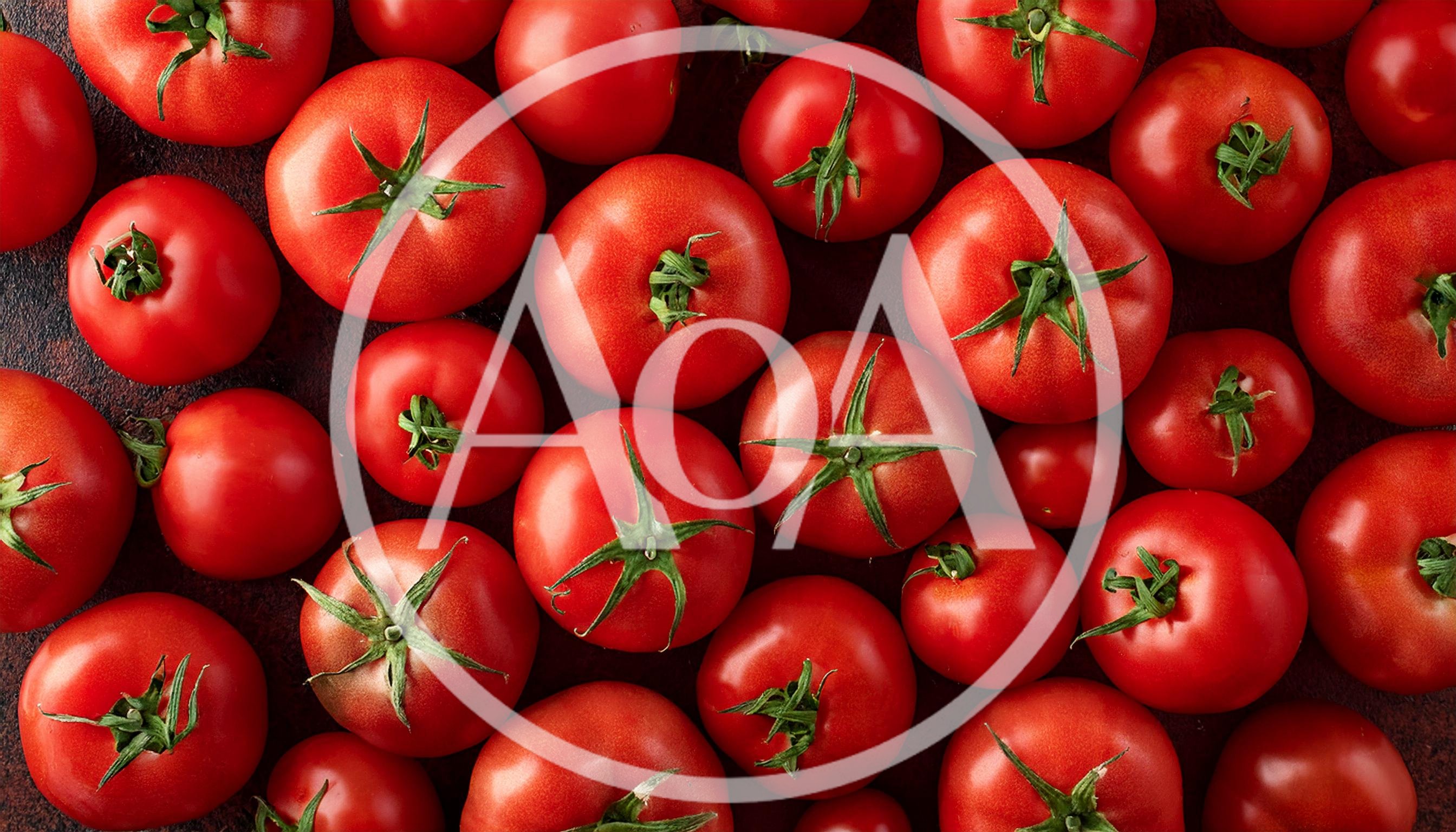 Fresh Red Tomatoes Arranged On Dark Background