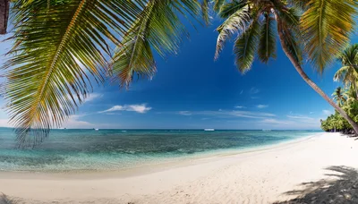Tropical Beach Scene With Palm Trees And Turquoise Water