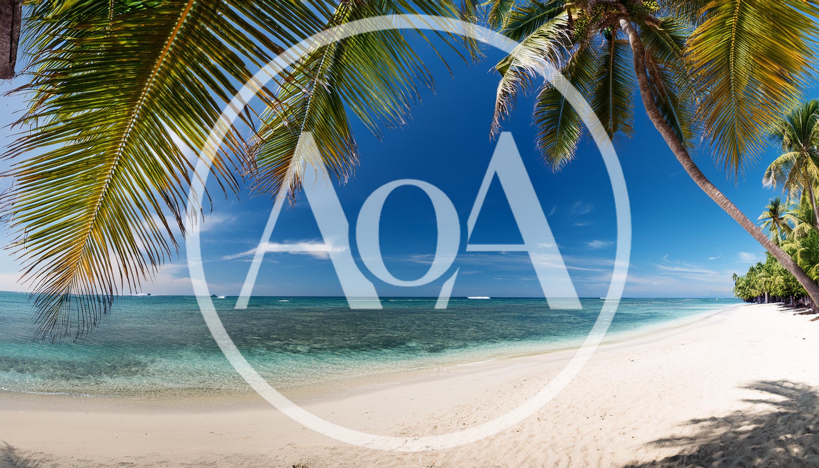 Tropical Beach Scene With Palm Trees And Turquoise Water