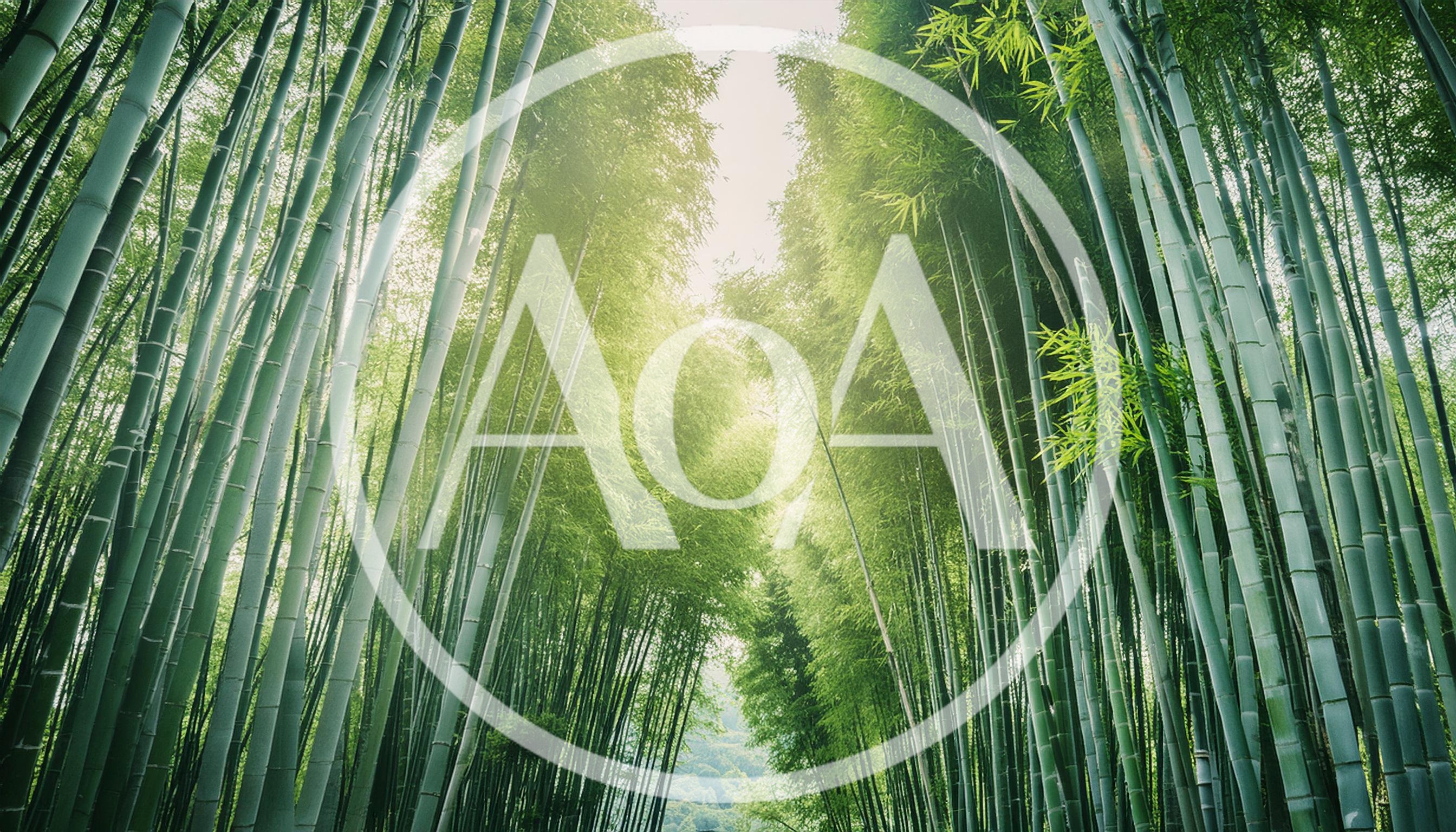 Low Angle View Of Tall Bamboo Forest