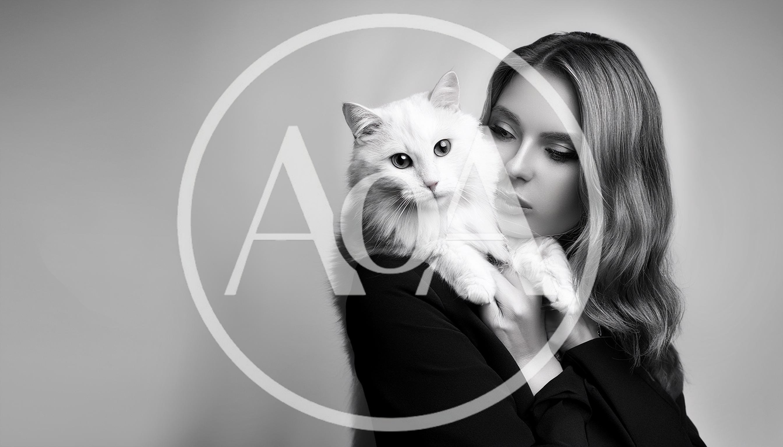 Elegant Woman Holding A Fluffy White Cat
