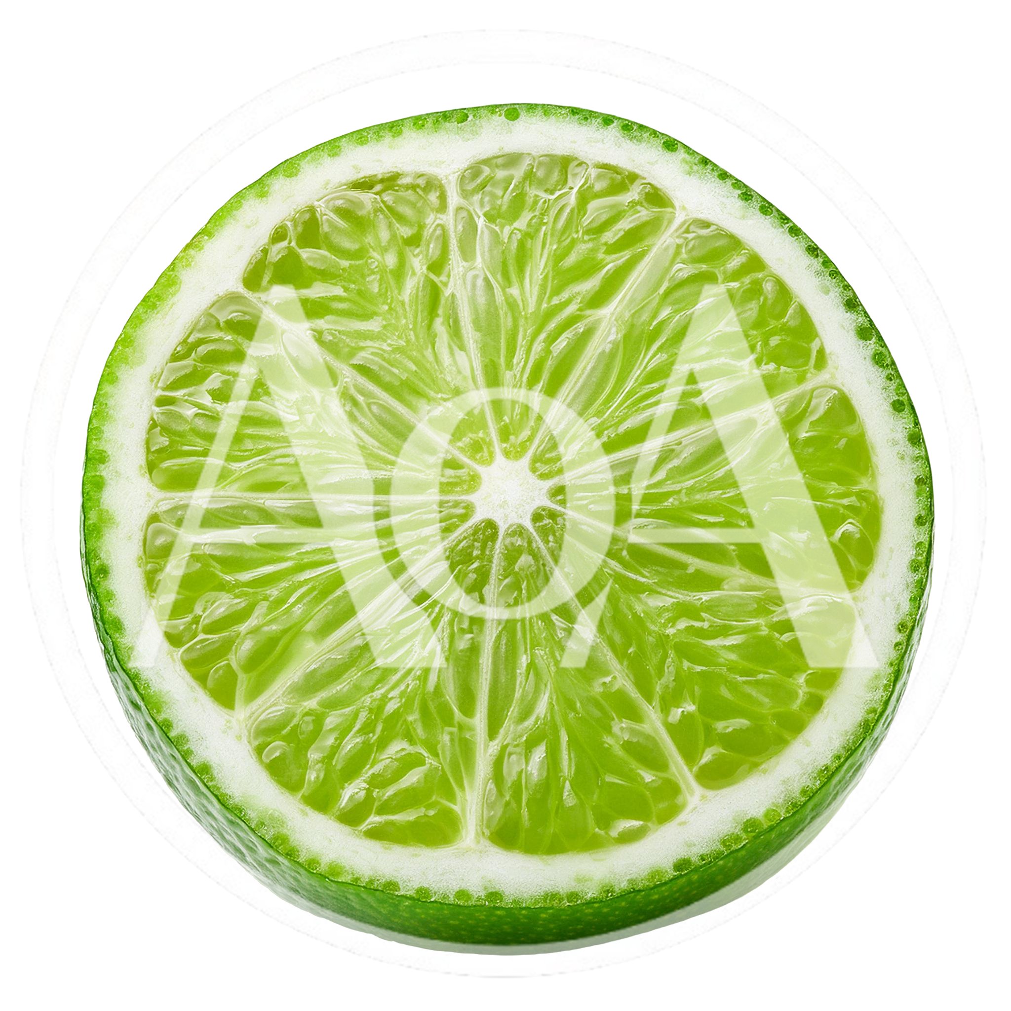 Fresh Lime Slice Isolated On White Background