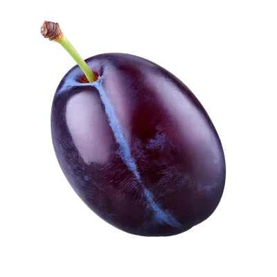 Single Fresh Ripe Plum With Stem Isolated