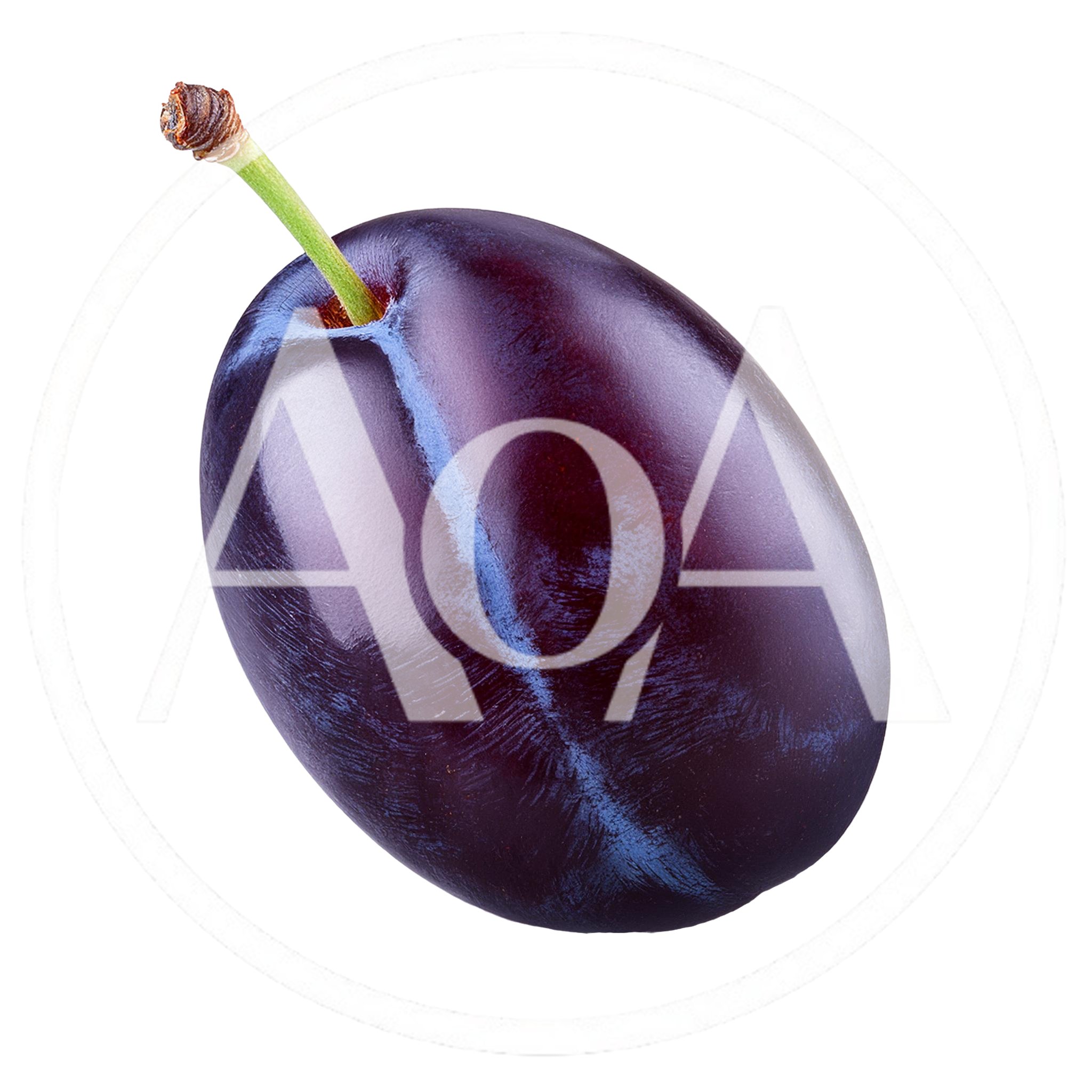 Single Fresh Ripe Plum With Stem Isolated