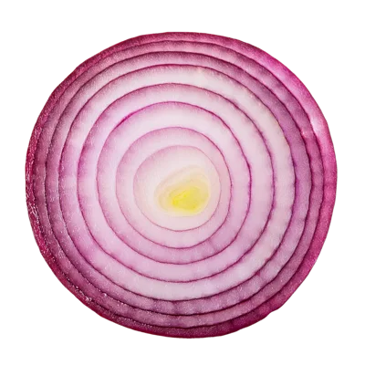Cross Section Of A Fresh Red Onion Slice