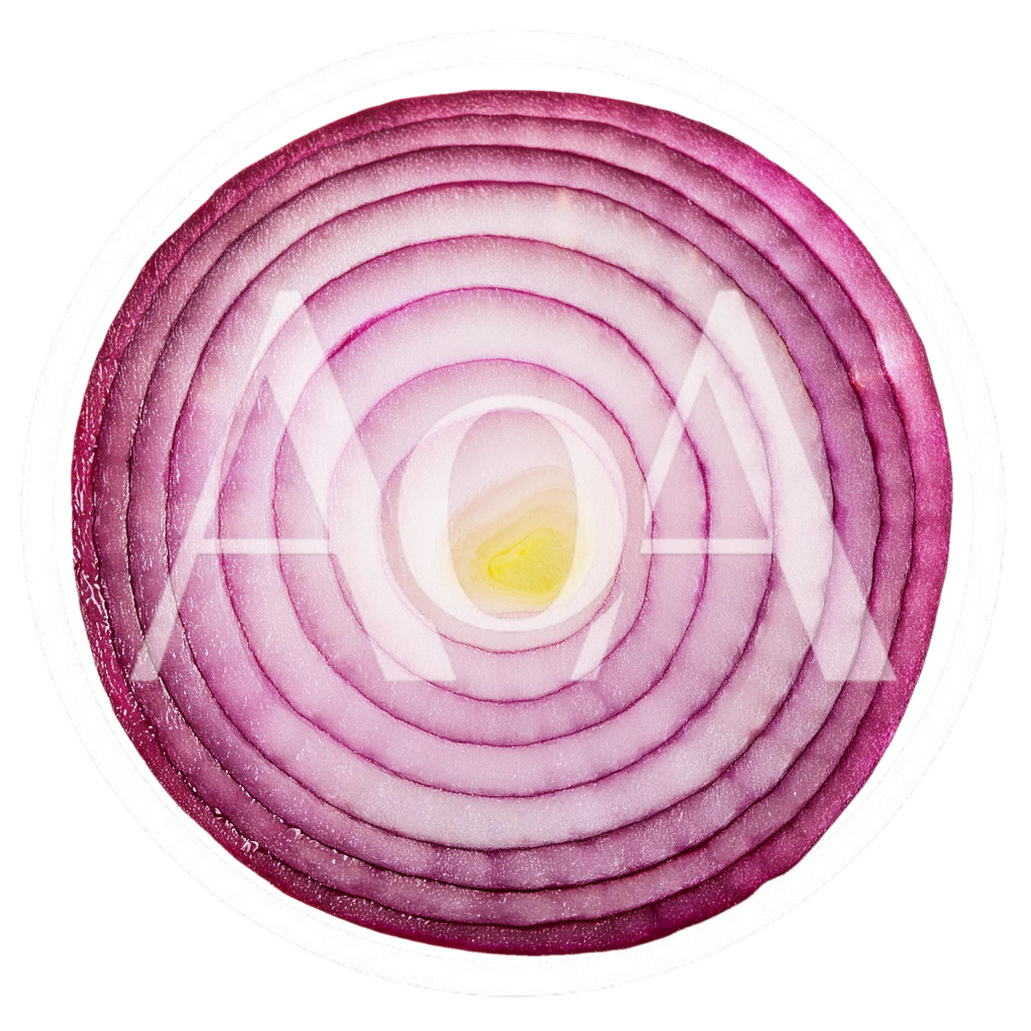 Cross Section Of A Fresh Red Onion Slice