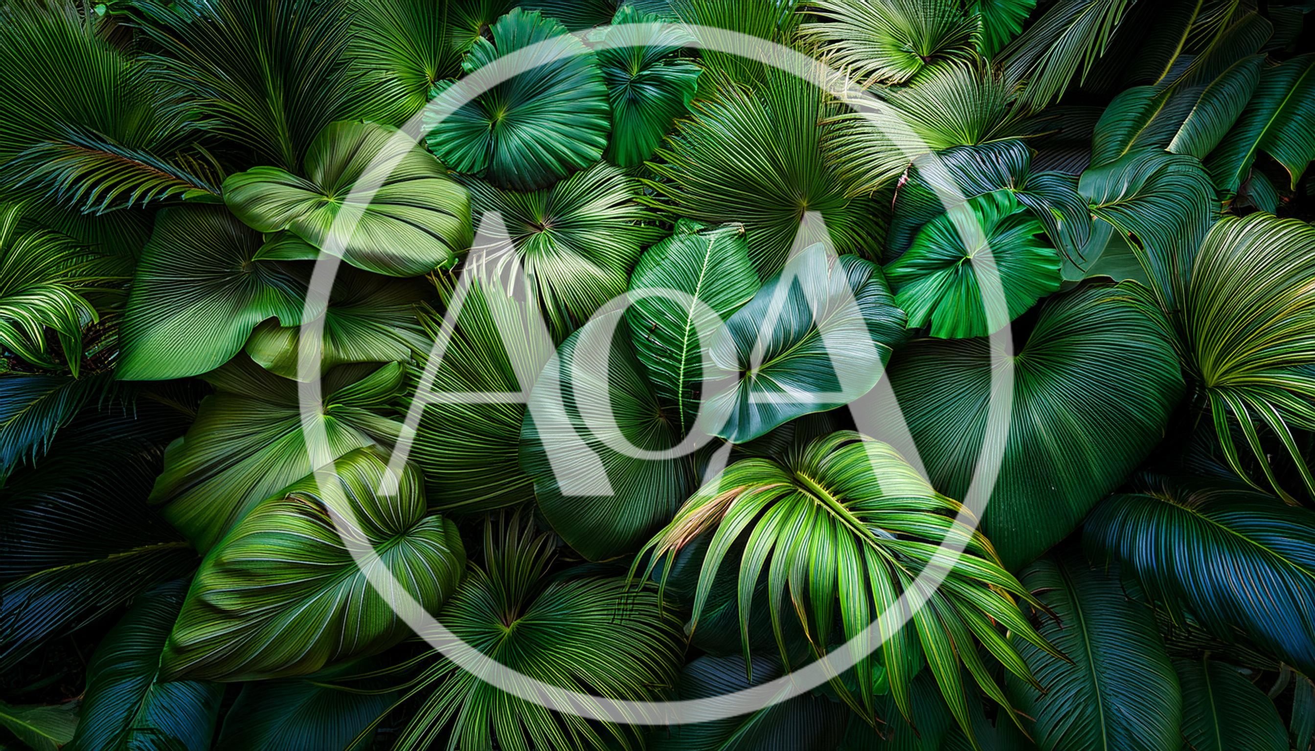 Lush Tropical Palm Leaves Background