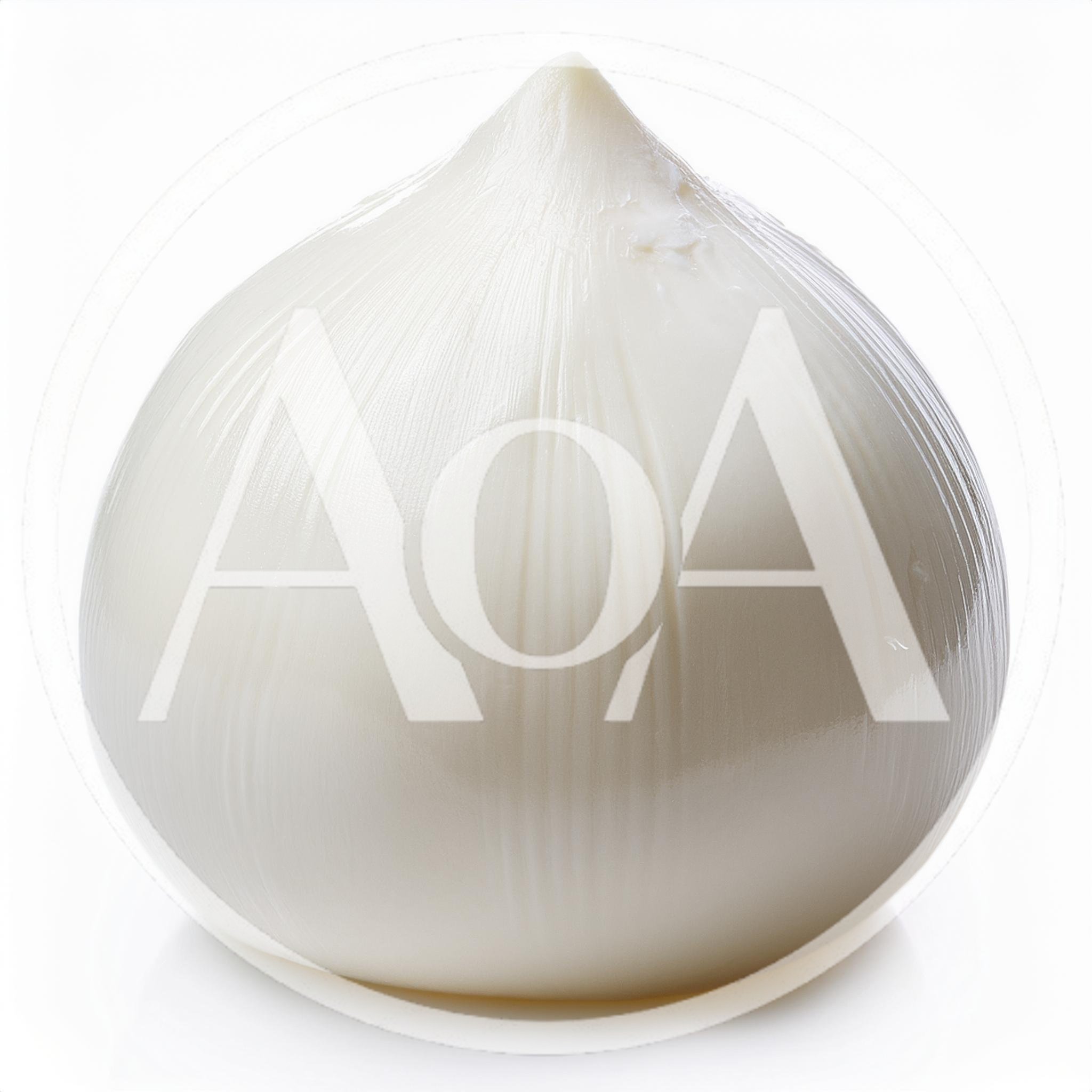 Single Peeled White Onion Isolated On White Background