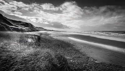 Black and White Coastal Landscape With Grassy Dunes