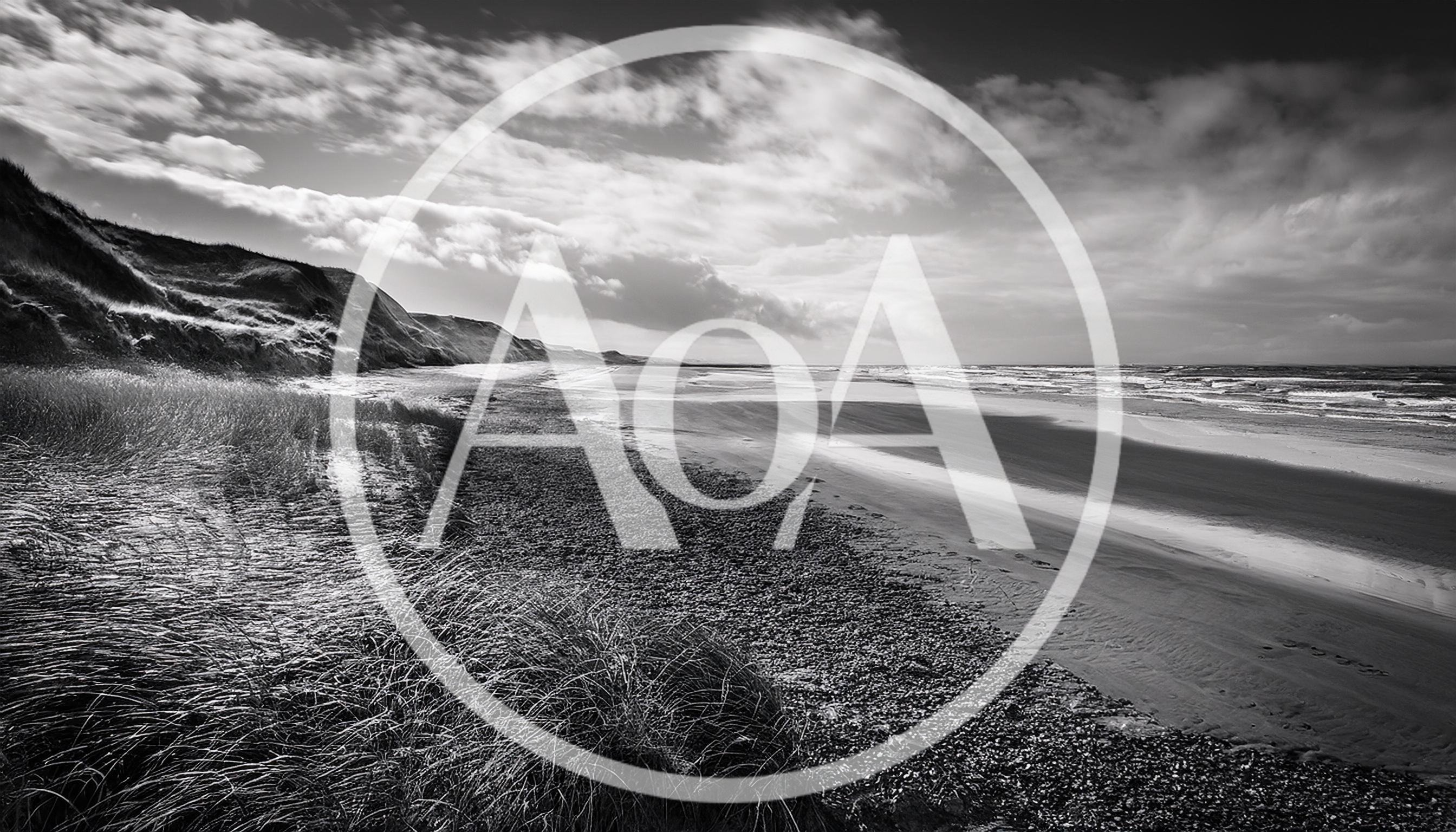 Black and White Coastal Landscape With Grassy Dunes