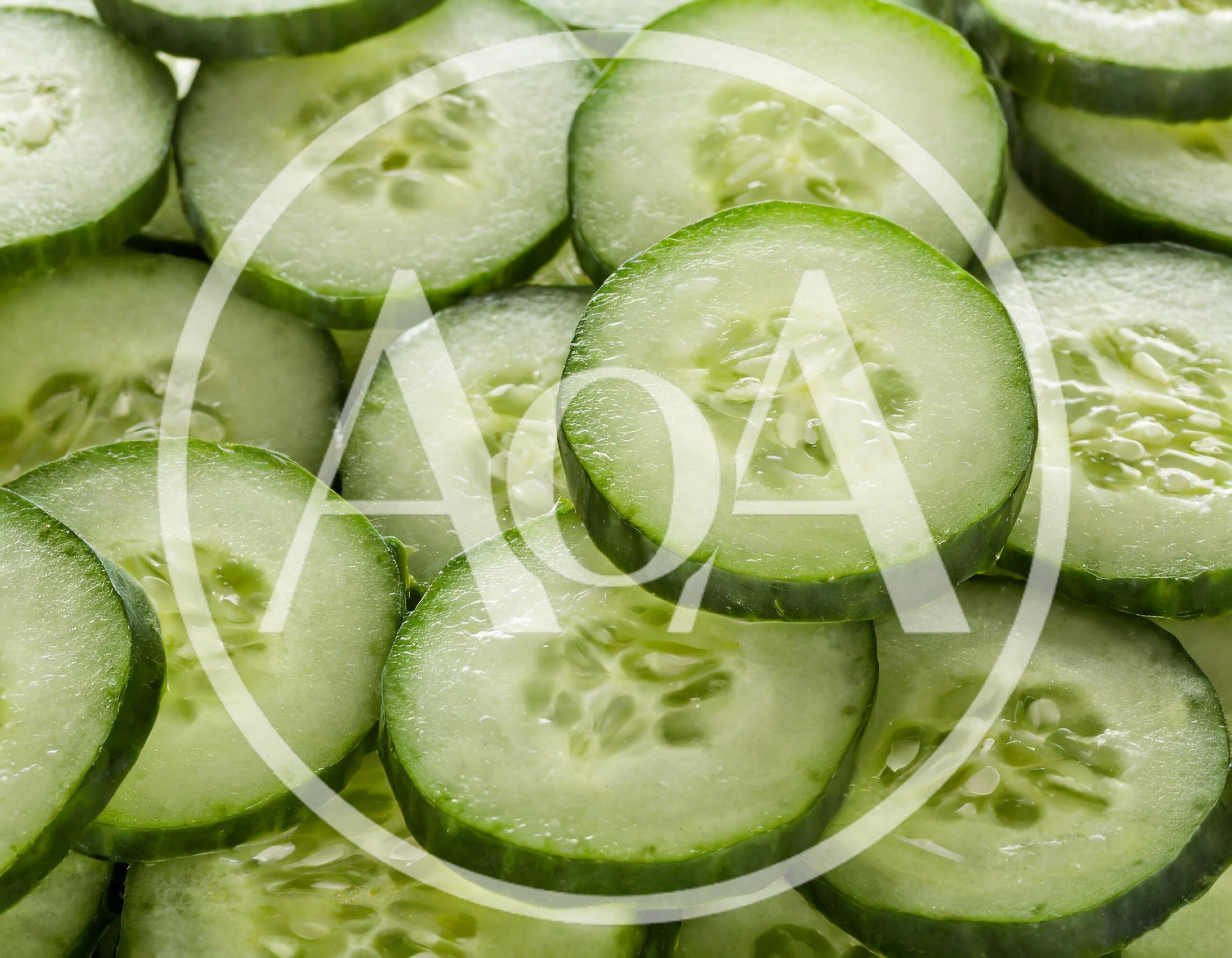 Fresh Sliced Cucumber Rounds Background