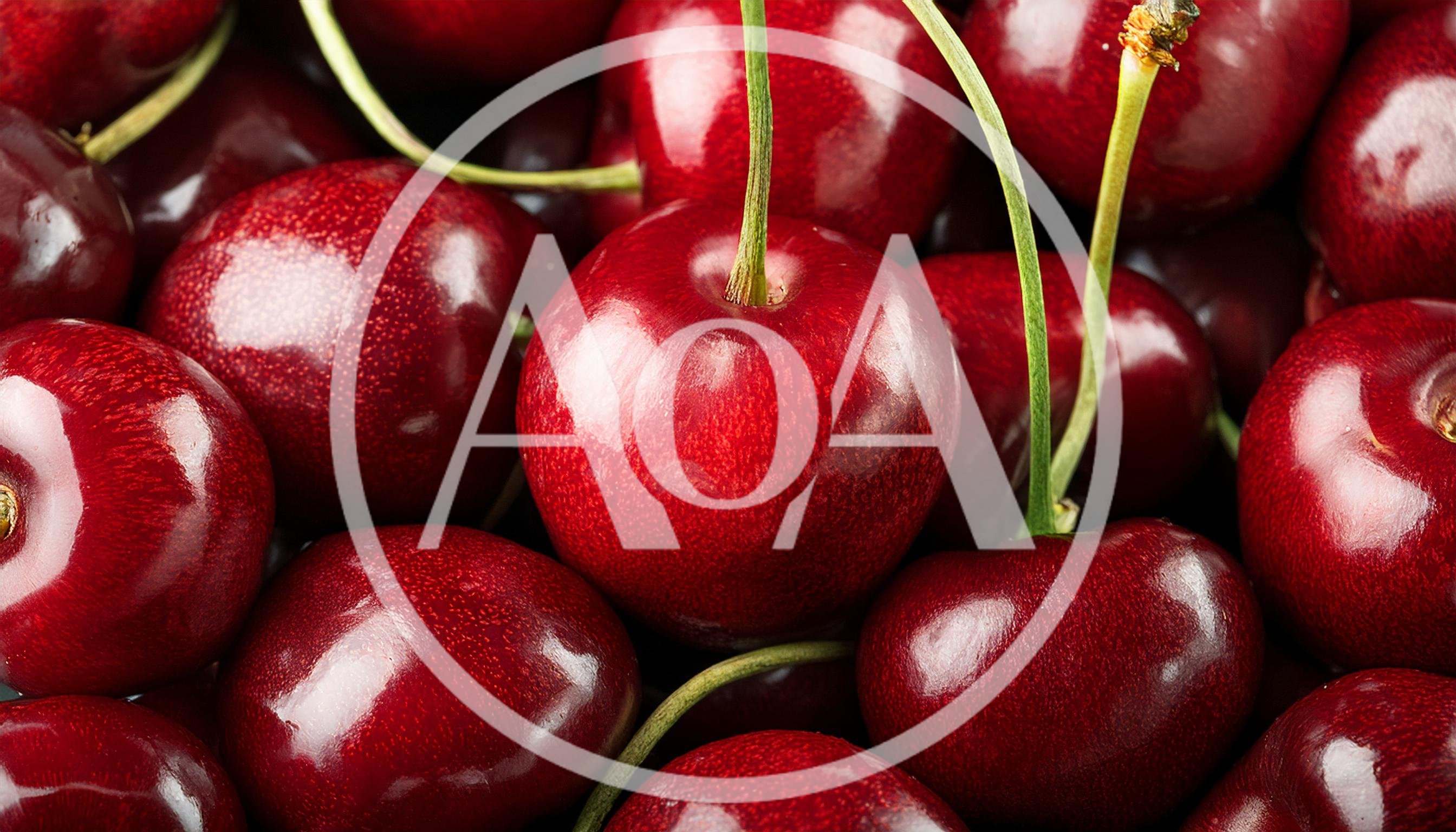 Fresh Ripe Red Cherries Close Up