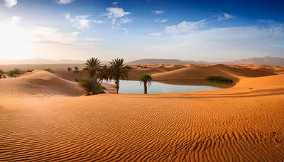Oasis With Palm Trees In The Sahara Desert