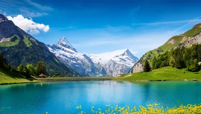 Bachalpsee Lake With Wetterhorn And Schreckhorn Mountain Peaks
