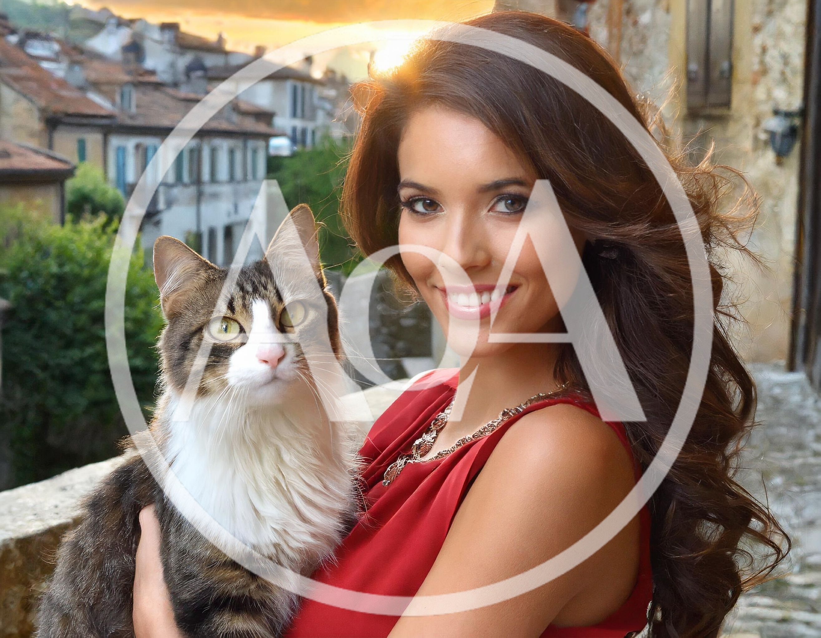 Beautiful Woman Holding A Fluffy Cat Outdoors