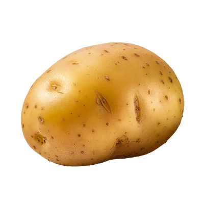 Single Raw Gold Potato Isolated On White Background