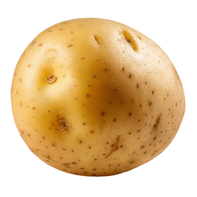 Single Raw Yellow Potato Isolated On White Background