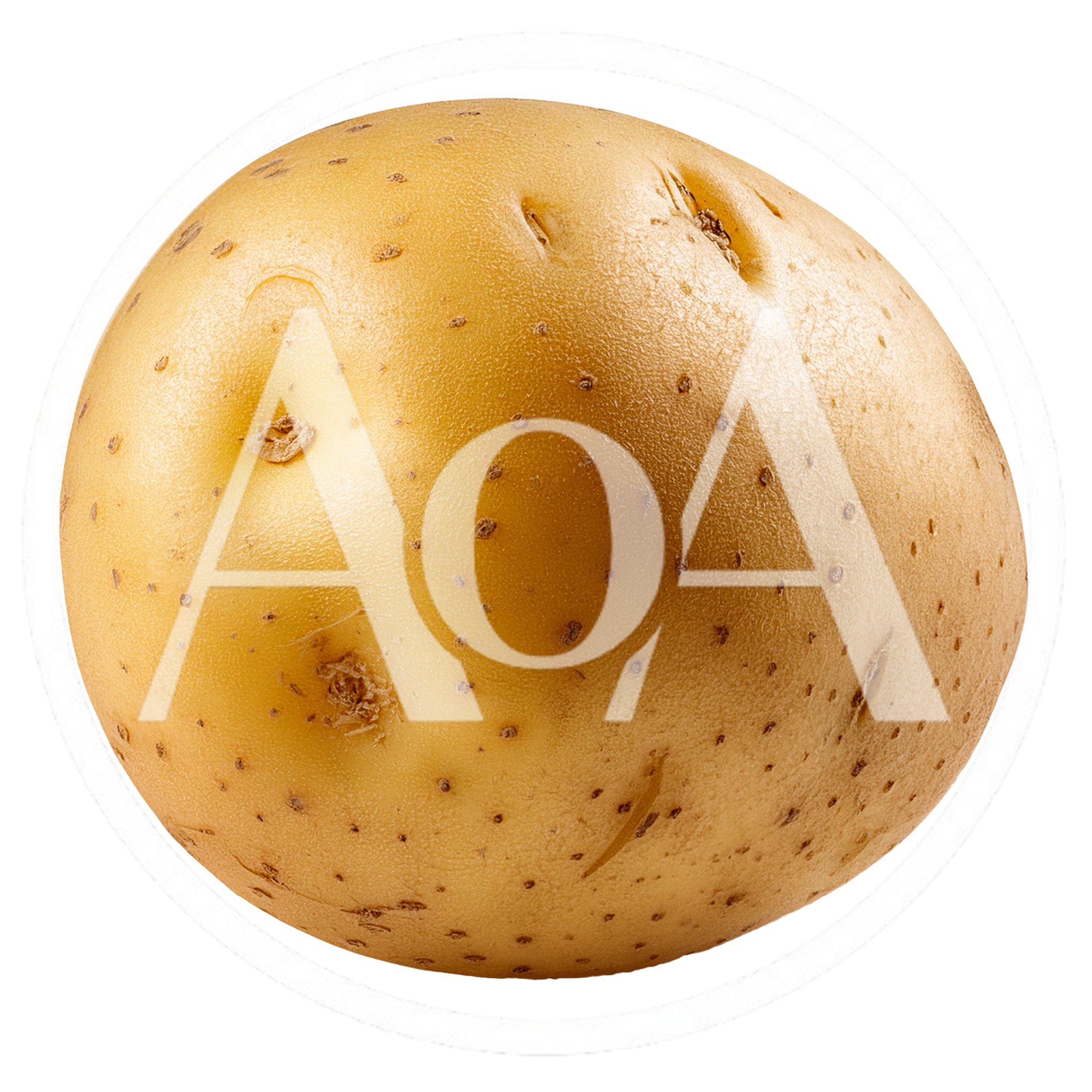 Single Raw Yellow Potato Isolated On White Background
