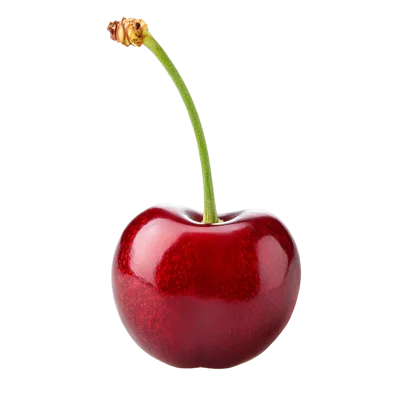 Single Fresh Red Cherry With Stem Isolated