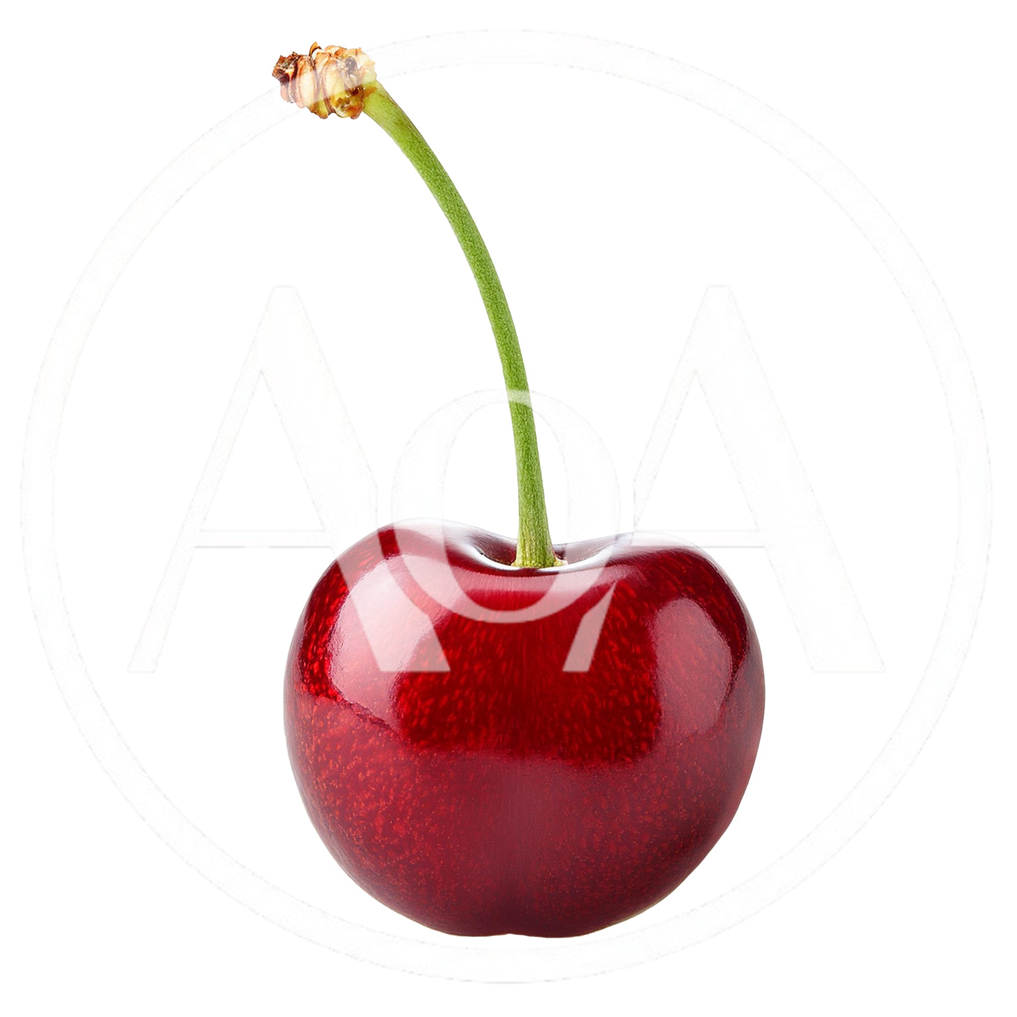 Single Fresh Red Cherry With Stem Isolated
