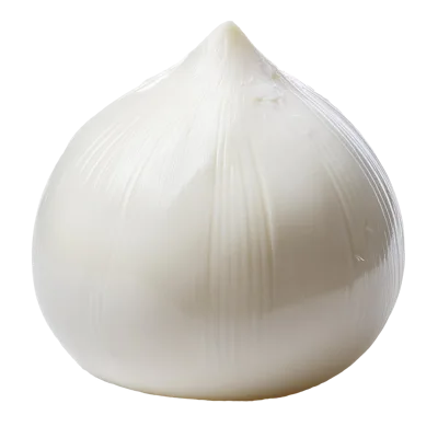 Fresh Whole White Onion Isolated On White Background