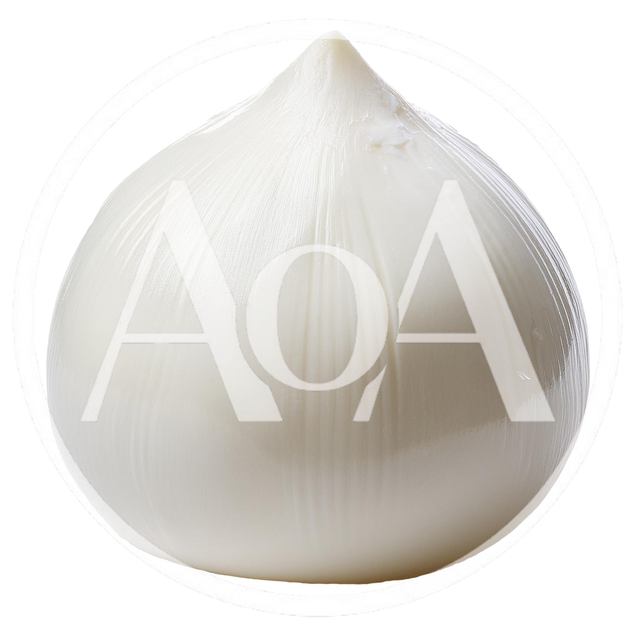 Fresh Whole White Onion Isolated On White Background