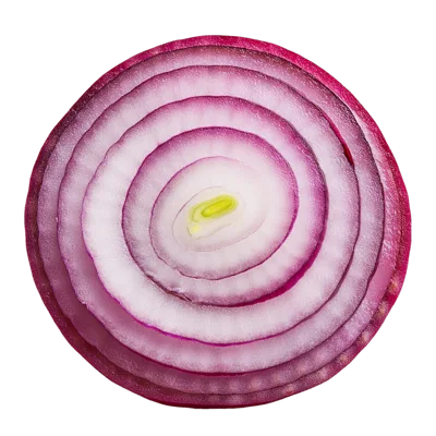 Cross Section Of A Fresh Red Onion Slice