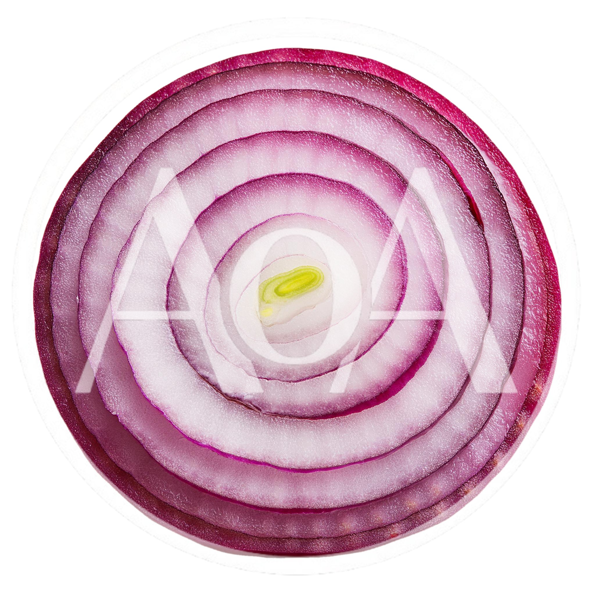 Cross Section Of A Fresh Red Onion Slice