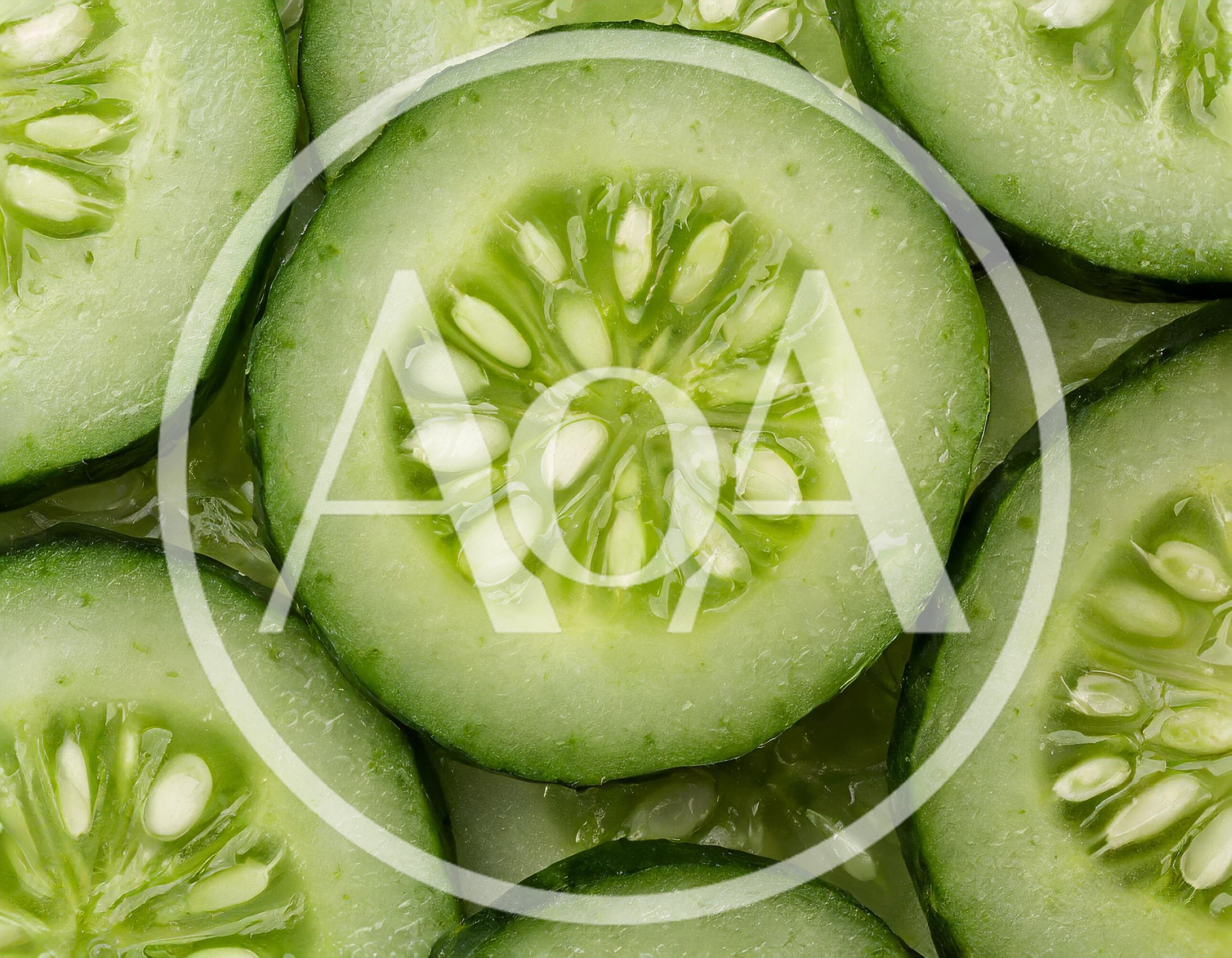Fresh Sliced Cucumber Rounds Close Up