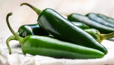 Fresh Green Jalapeno Peppers on White Fabric