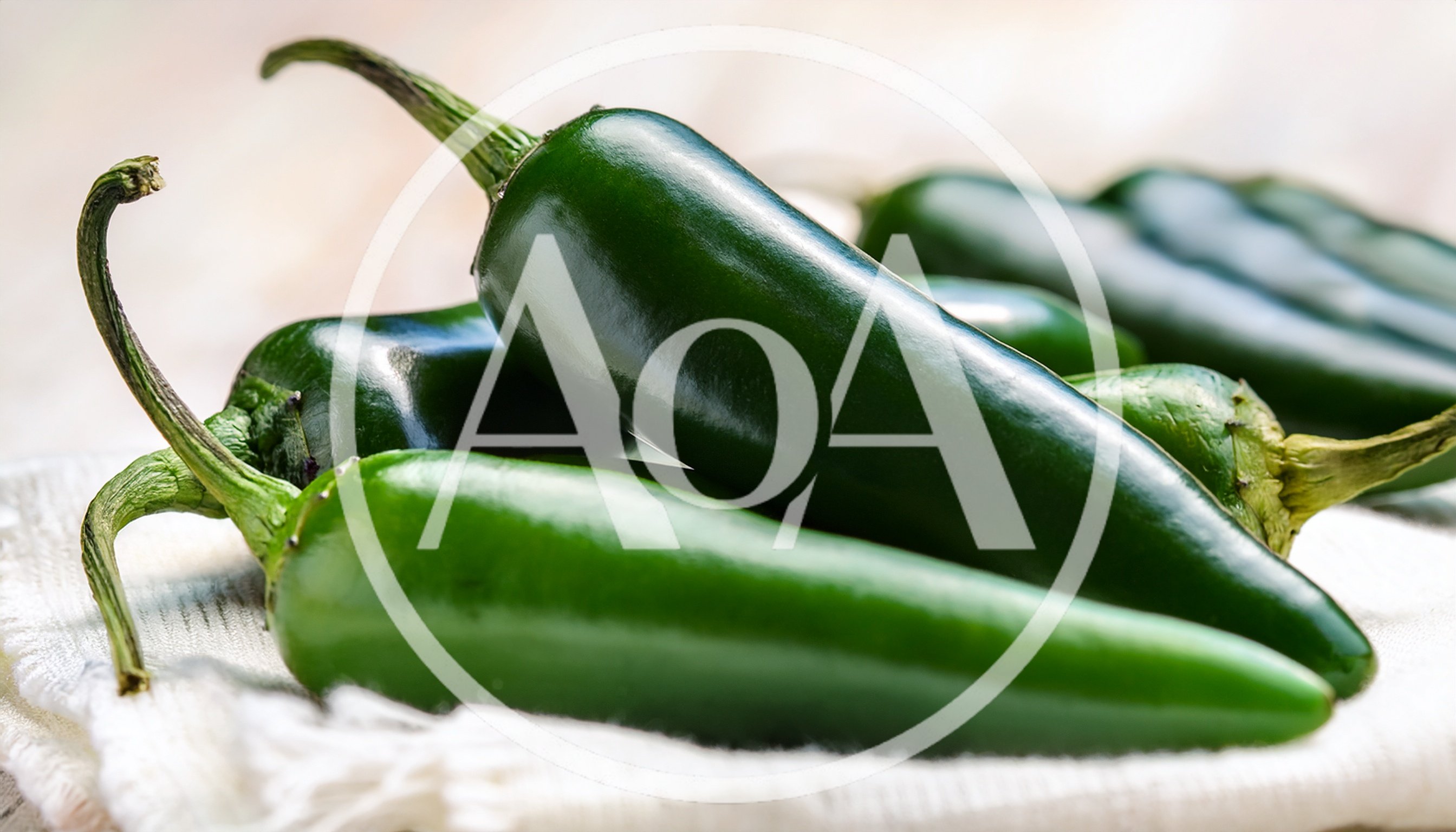 Fresh Green Jalapeno Peppers on White Fabric