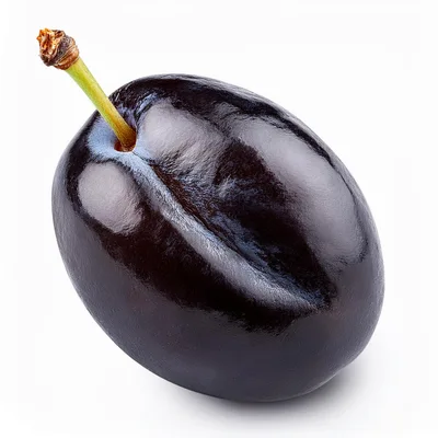 Single Fresh Ripe Purple Plum Isolated on White Background