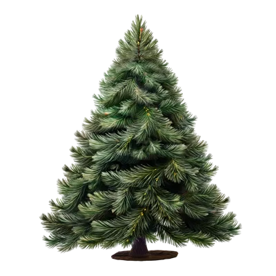 Realistic Christmas Tree Isolated On White Background
