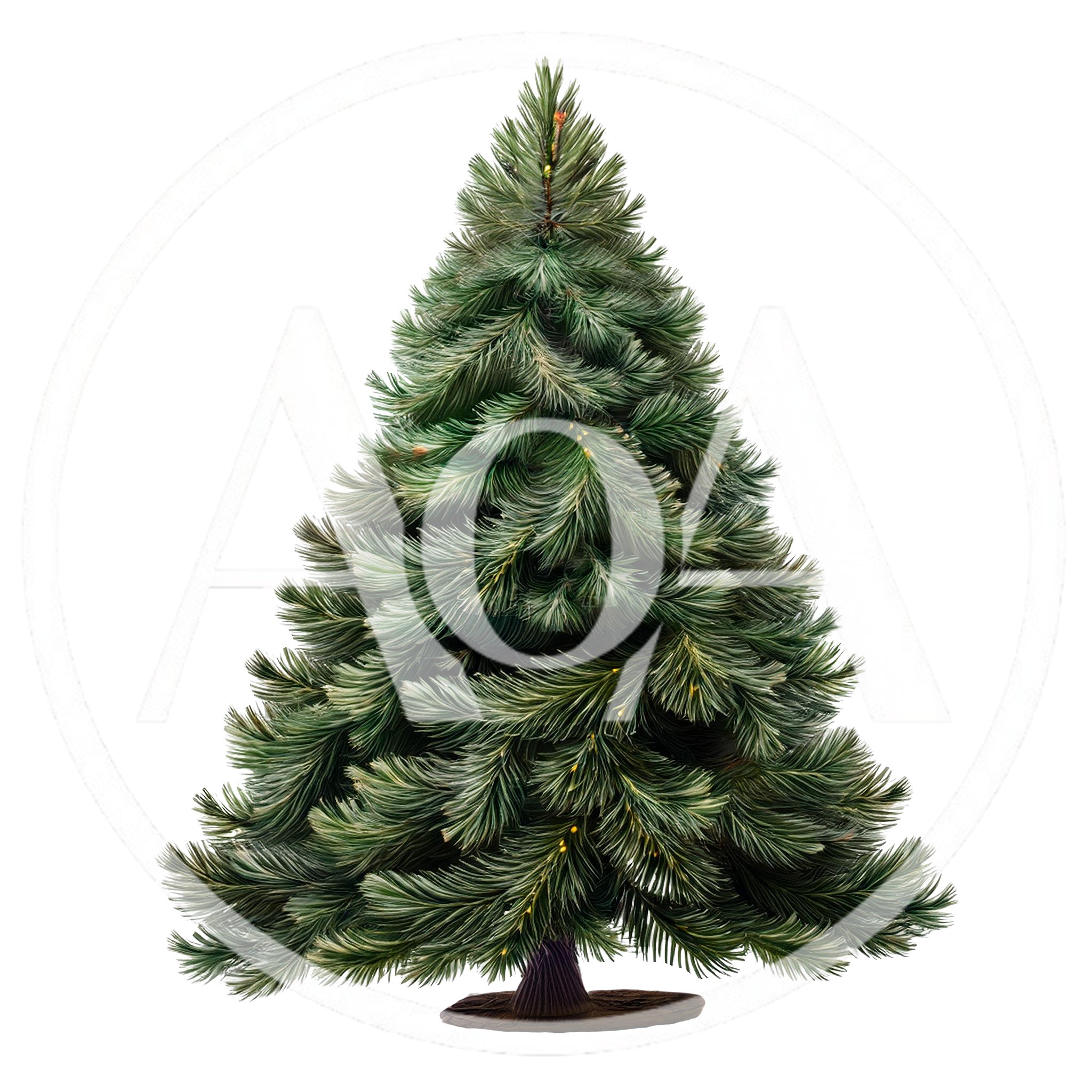Realistic Christmas Tree Isolated On White Background