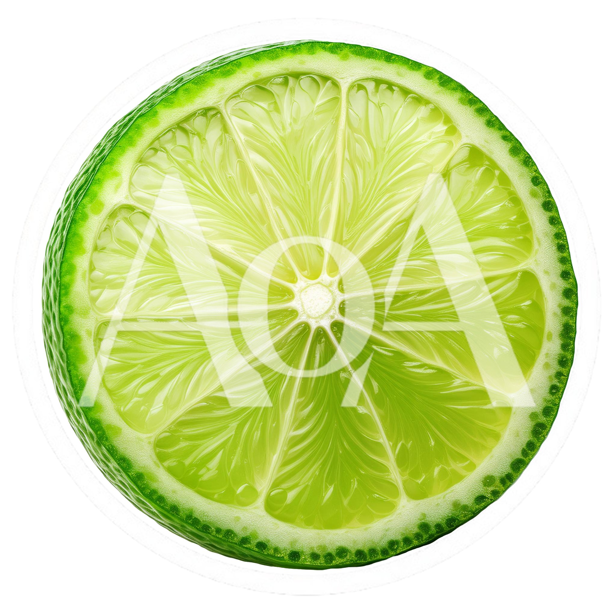 Fresh Lime Slice Isolated On White Background