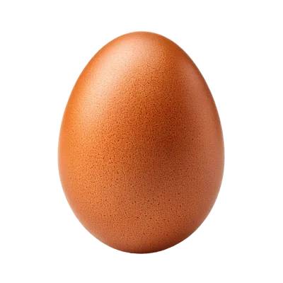 Single Brown Chicken Egg Isolated On White Background