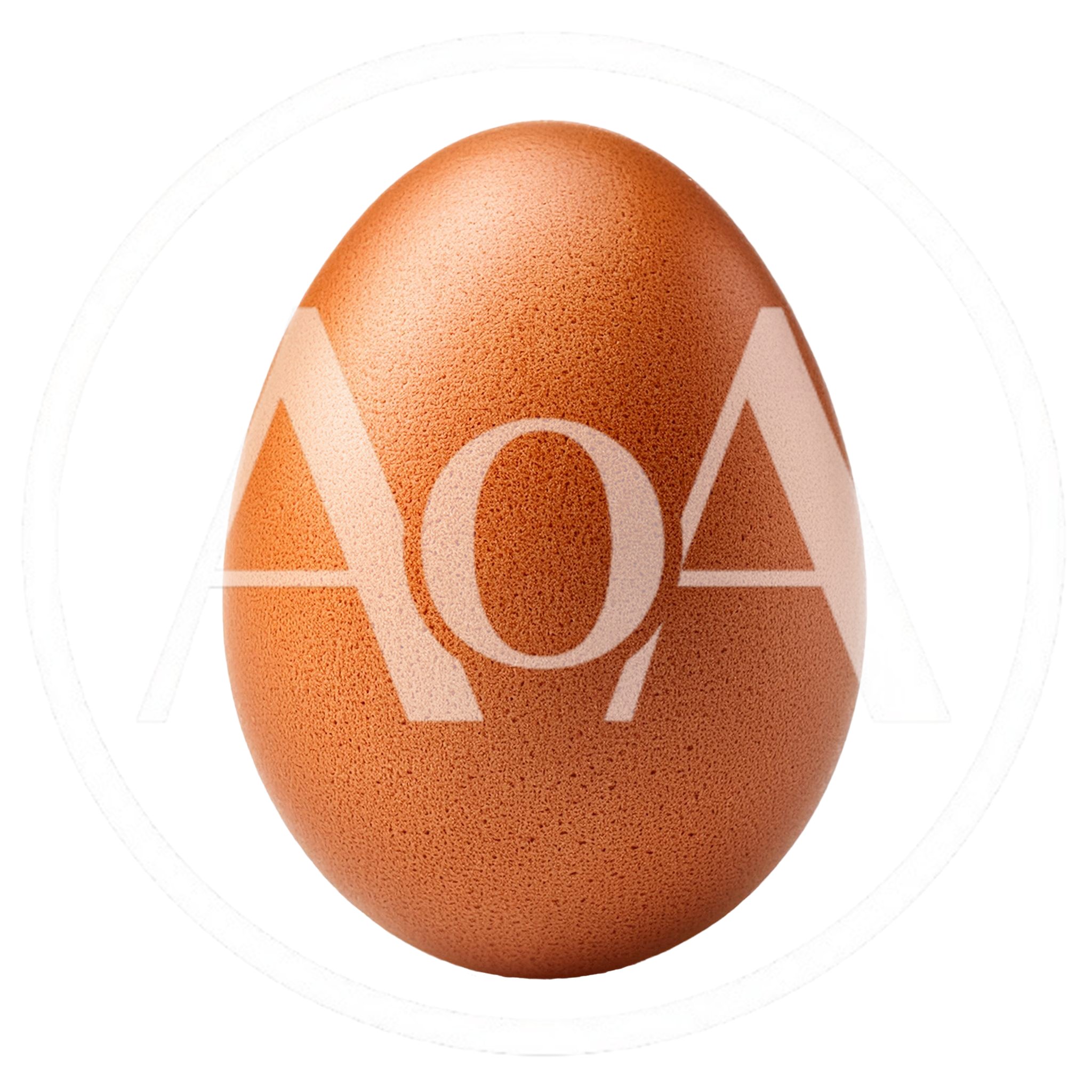 Single Brown Chicken Egg Isolated On White Background