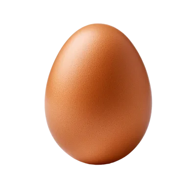 Single Brown Chicken Egg Isolated On Black Background