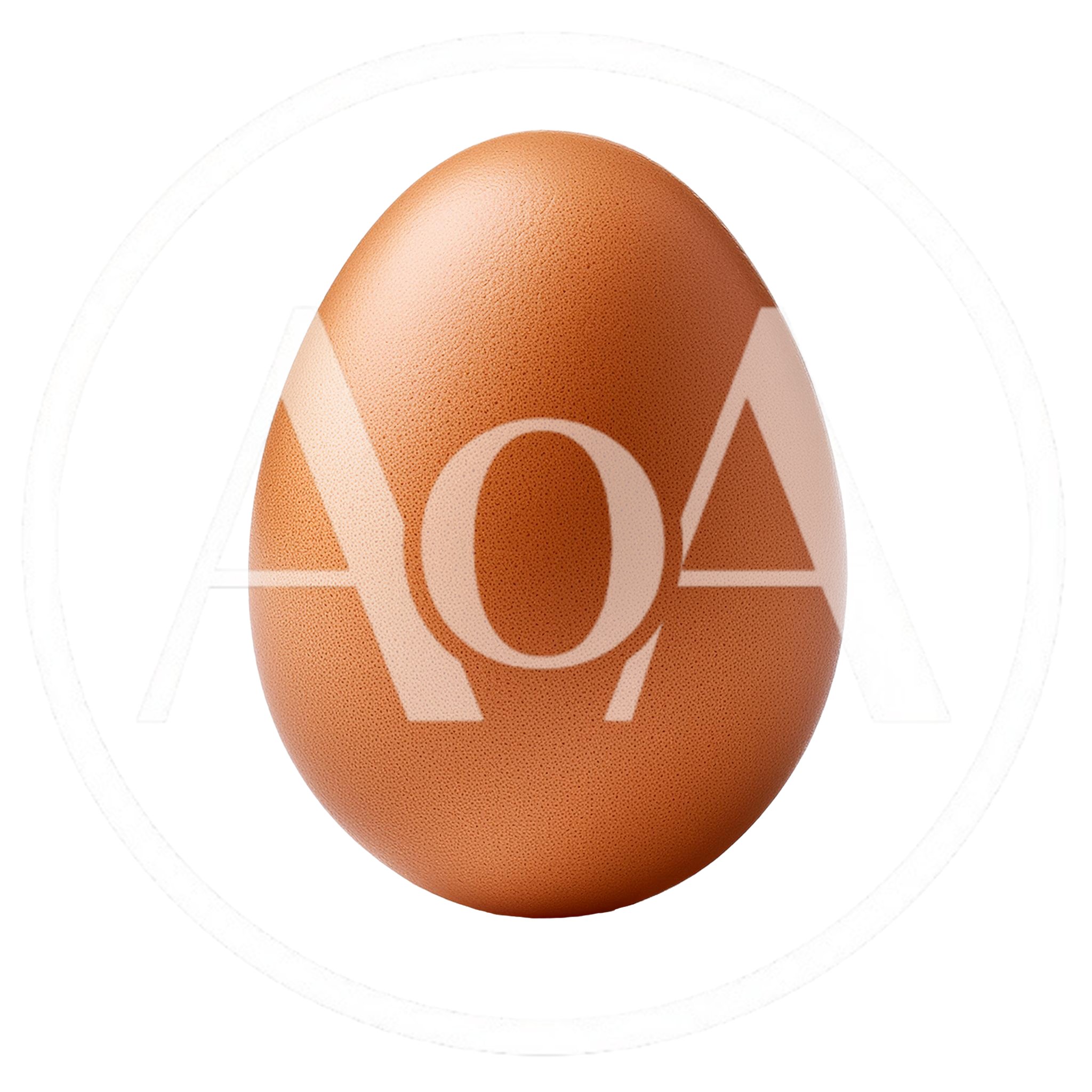 Single Brown Chicken Egg Isolated On Black Background