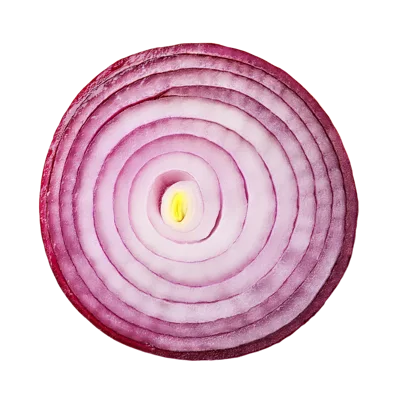 Cross Section Of A Fresh Red Onion