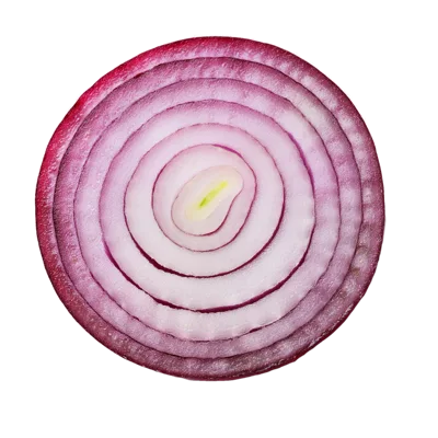 Cross Section Of A Fresh Red Onion