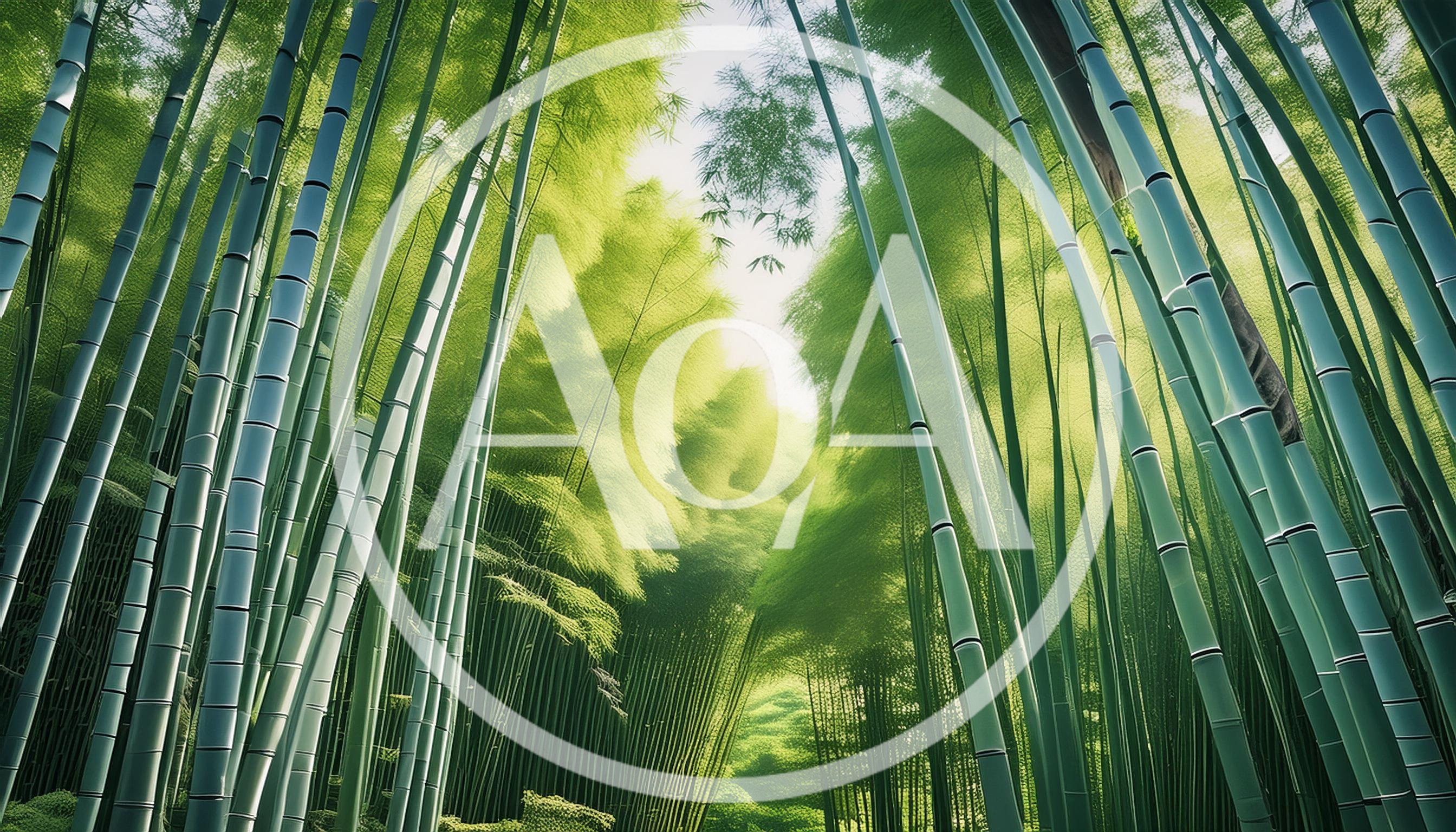 Low Angle View Of Tall Bamboo Forest