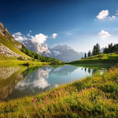 Alpine Lake Landscape With Mountain Peaks And Wildflowers