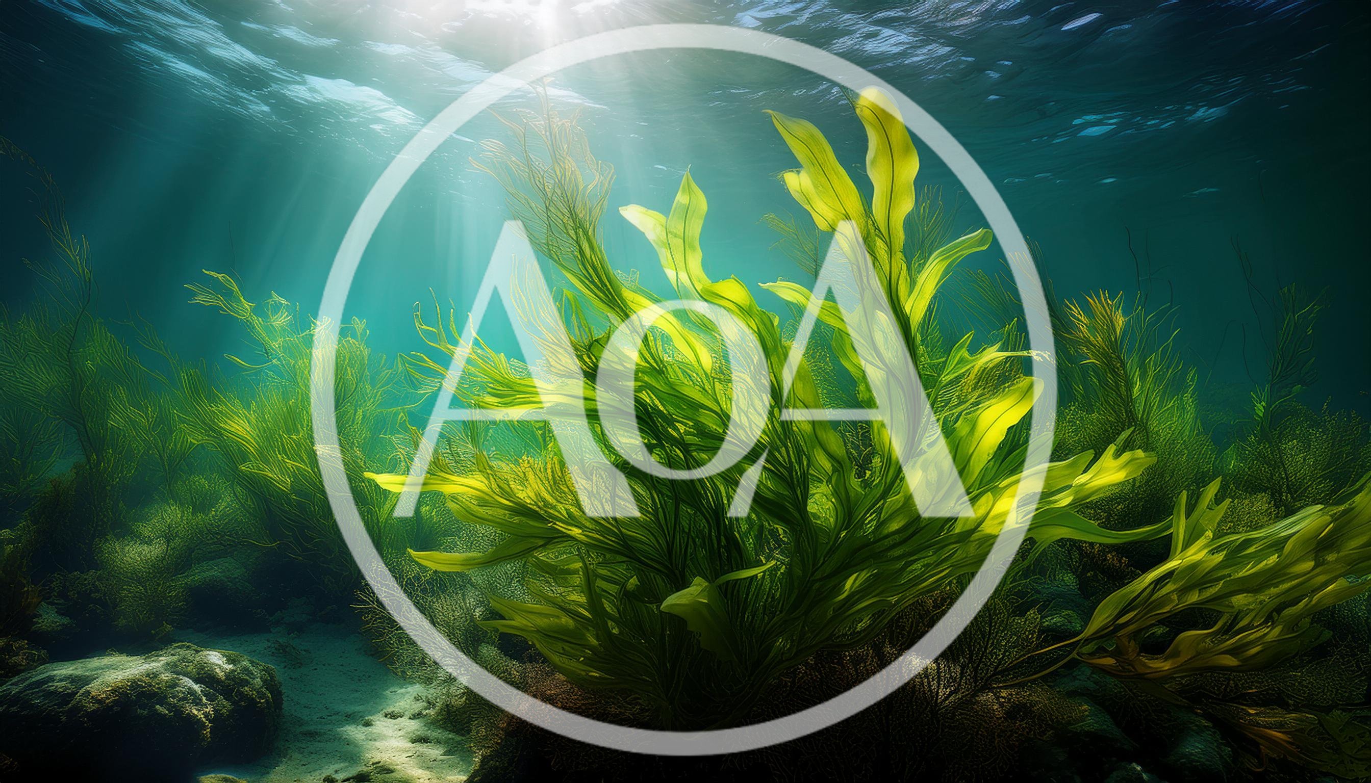 Vibrant Green Seaweed Swaying Underwater In Sunlight