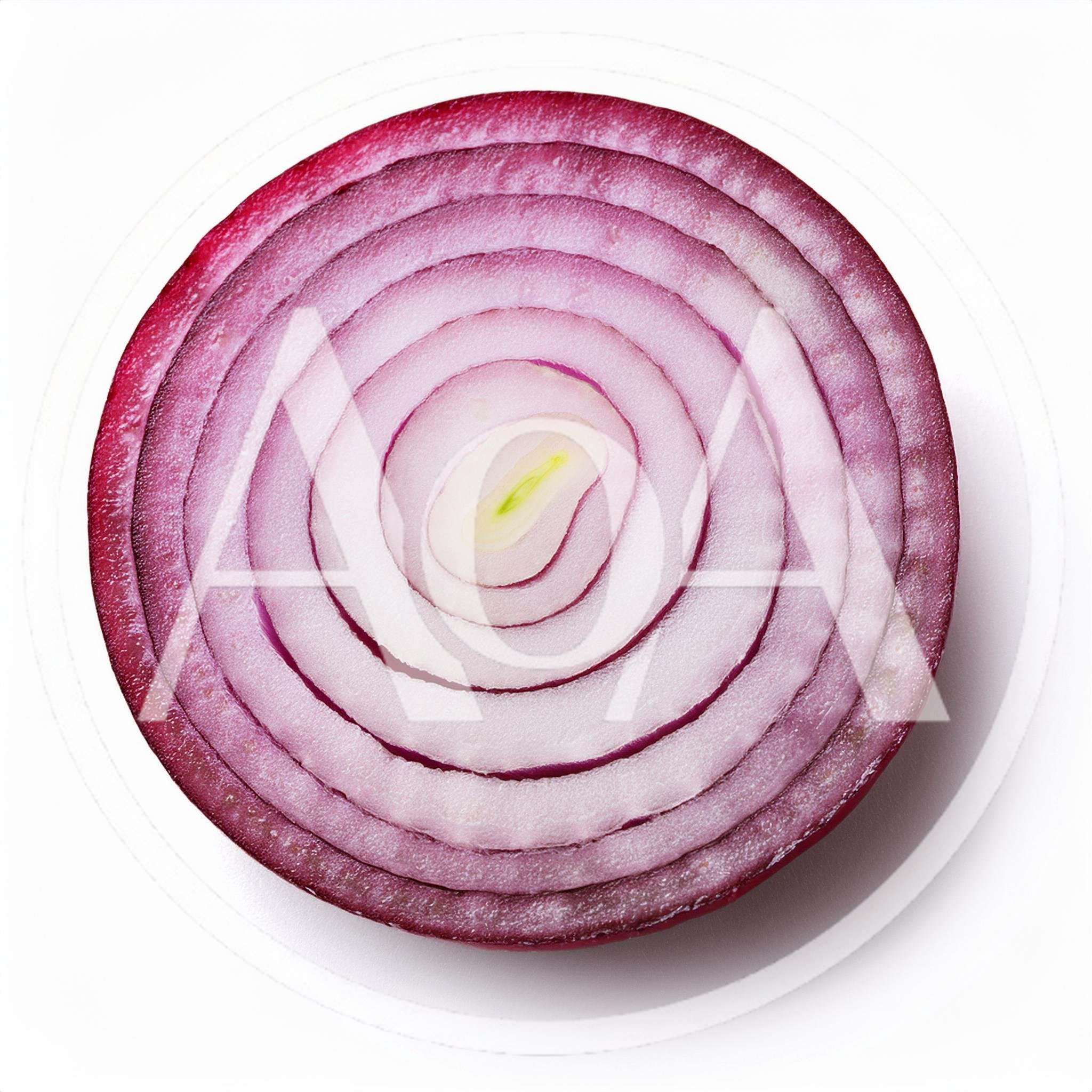 Cross Section Of A Fresh Red Onion