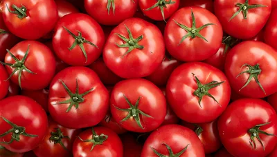 Fresh Red Tomatoes Background