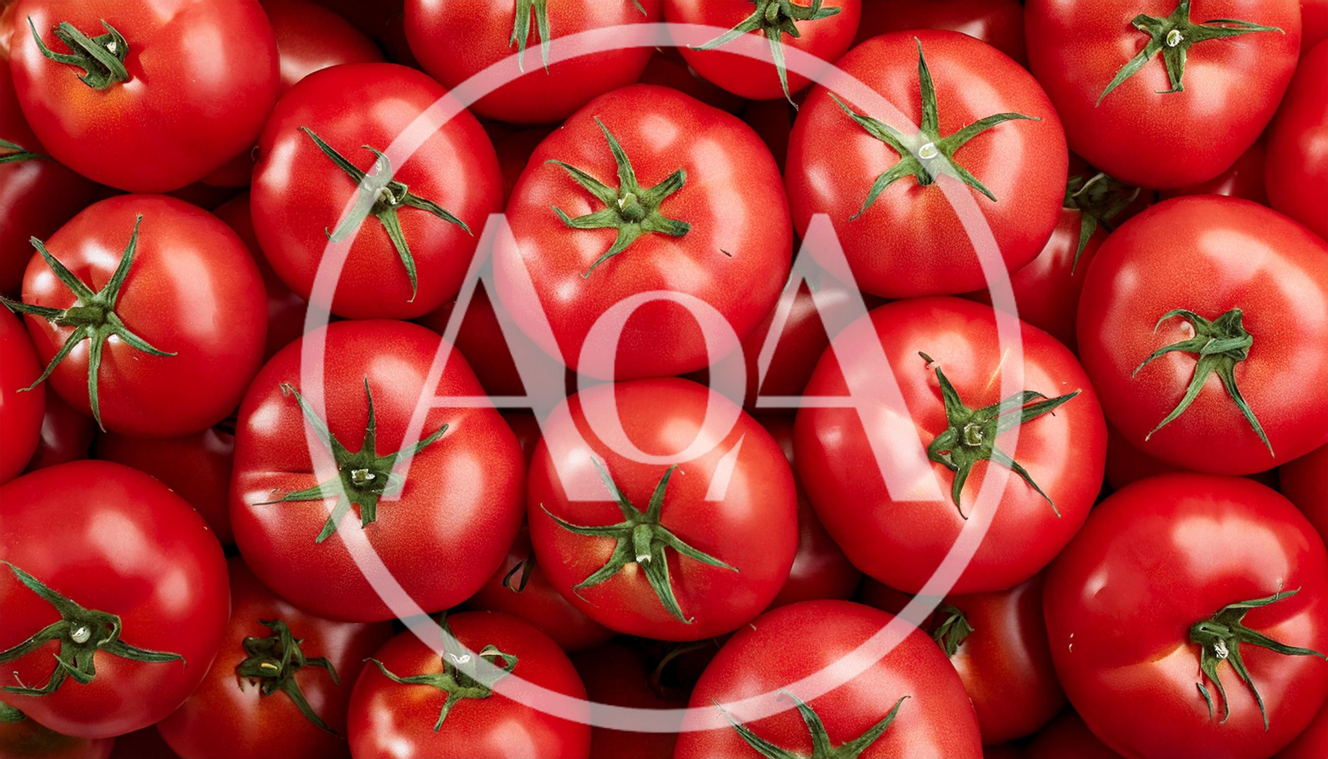 Fresh Red Tomatoes Background