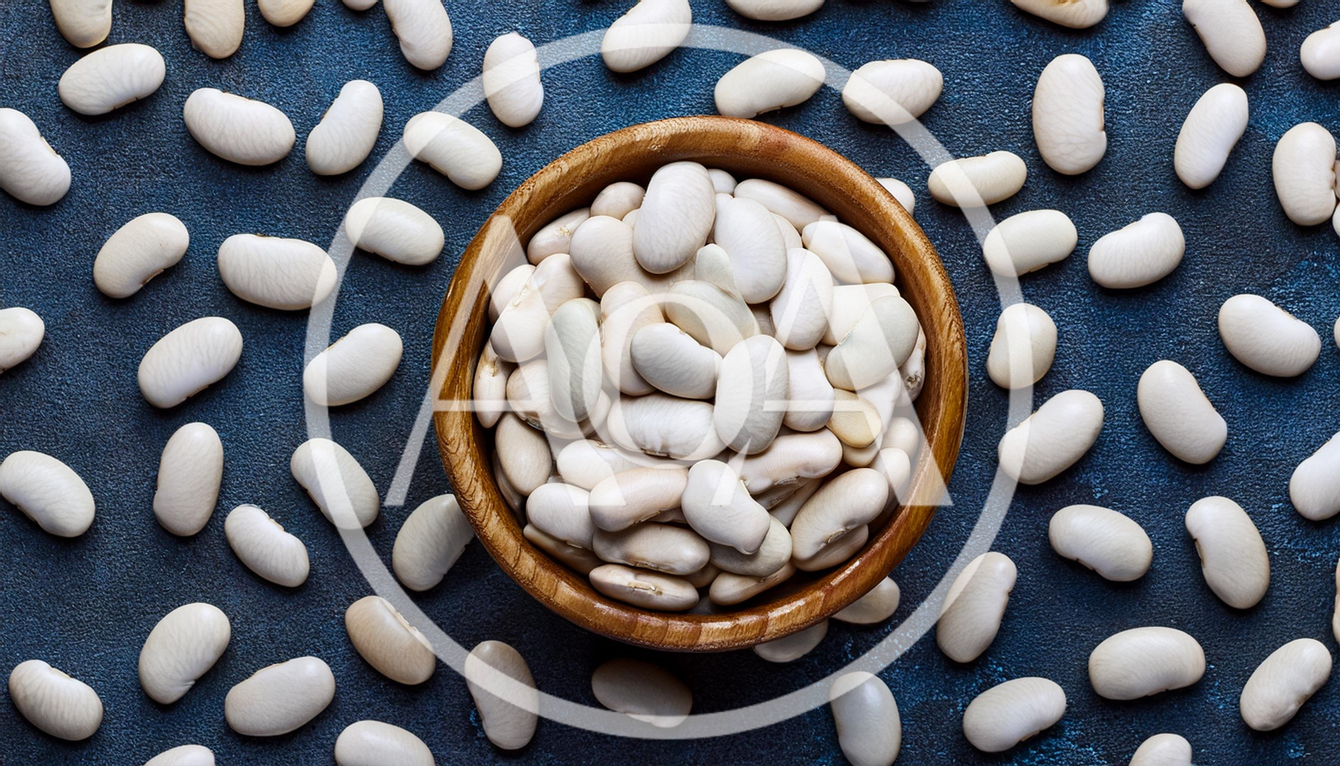 White Cannellini Beans in Wooden Bowl