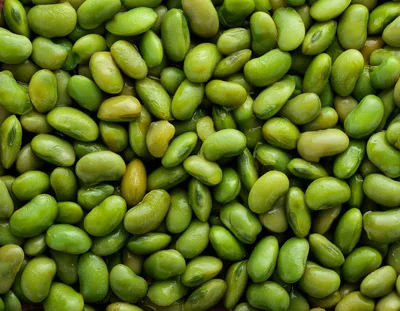 Fresh Green Edamame Soybeans Background